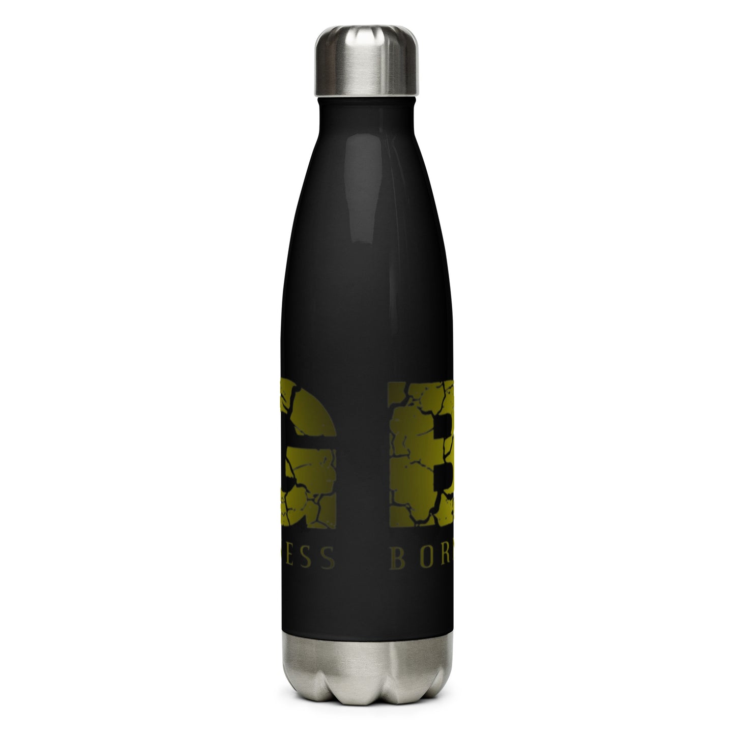 Stainless Steel Water Bottle