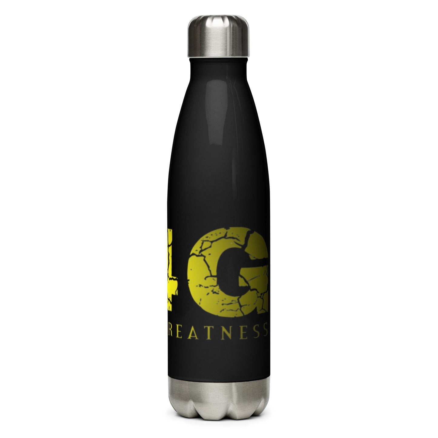 Stainless Steel Water Bottle