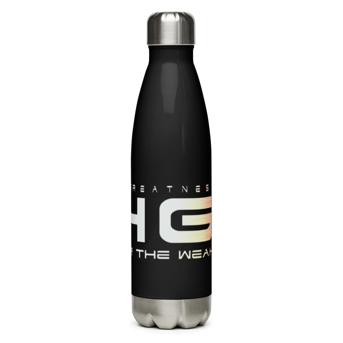 Stainless Steel Water Bottle