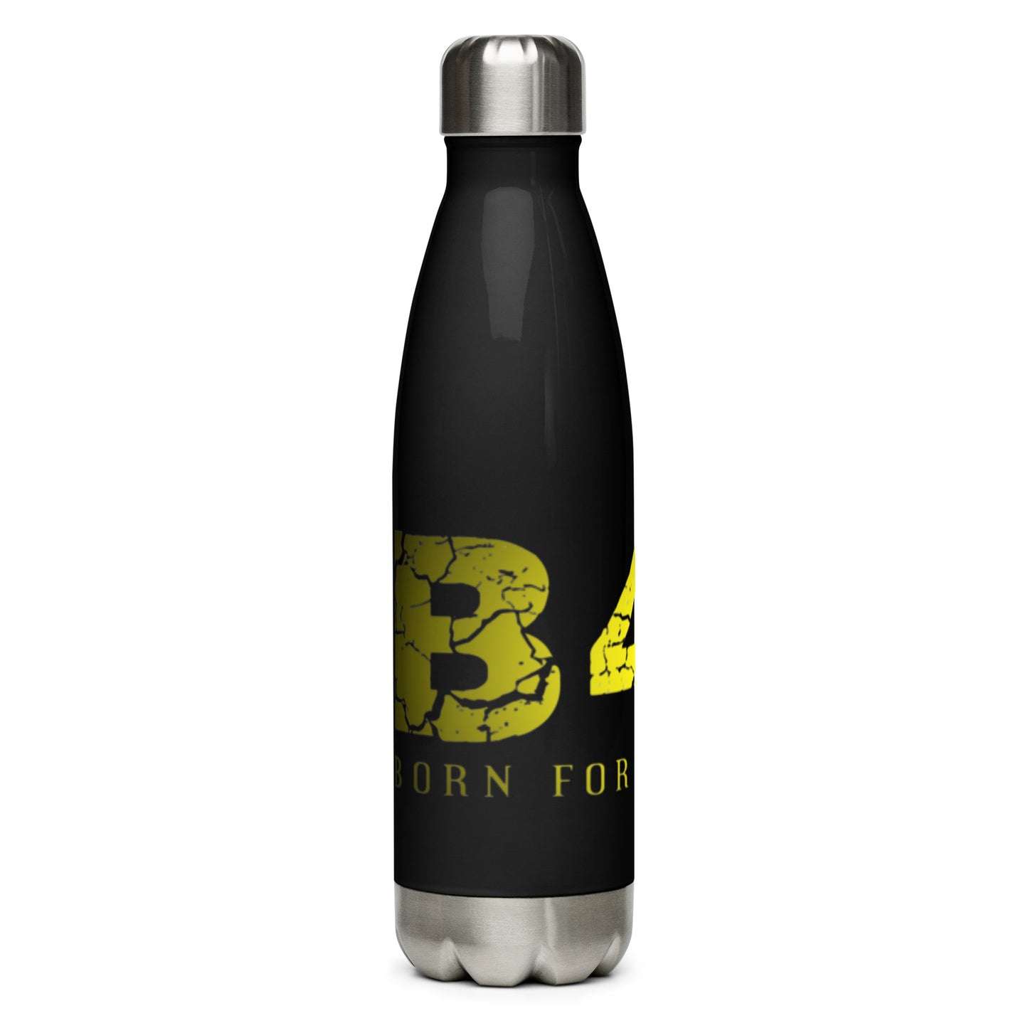 Stainless Steel Water Bottle