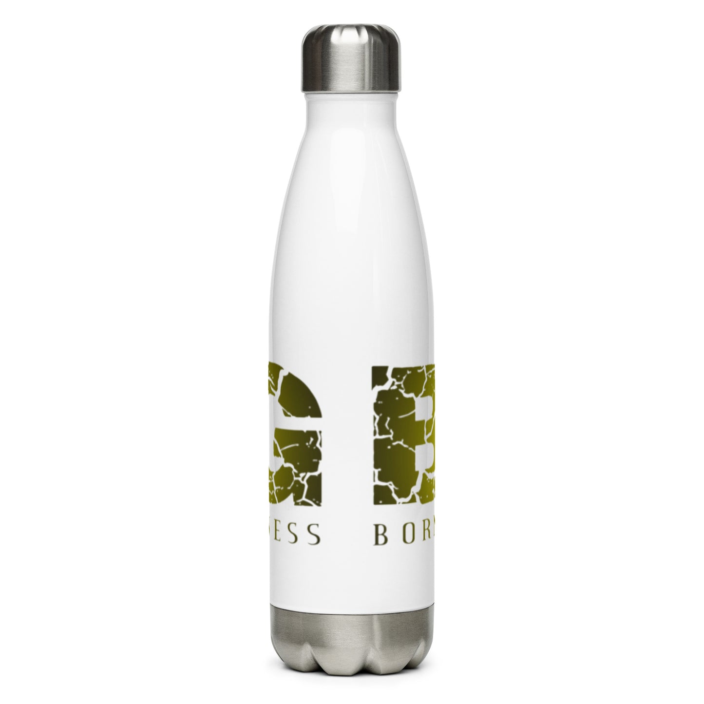 Stainless Steel Water Bottle