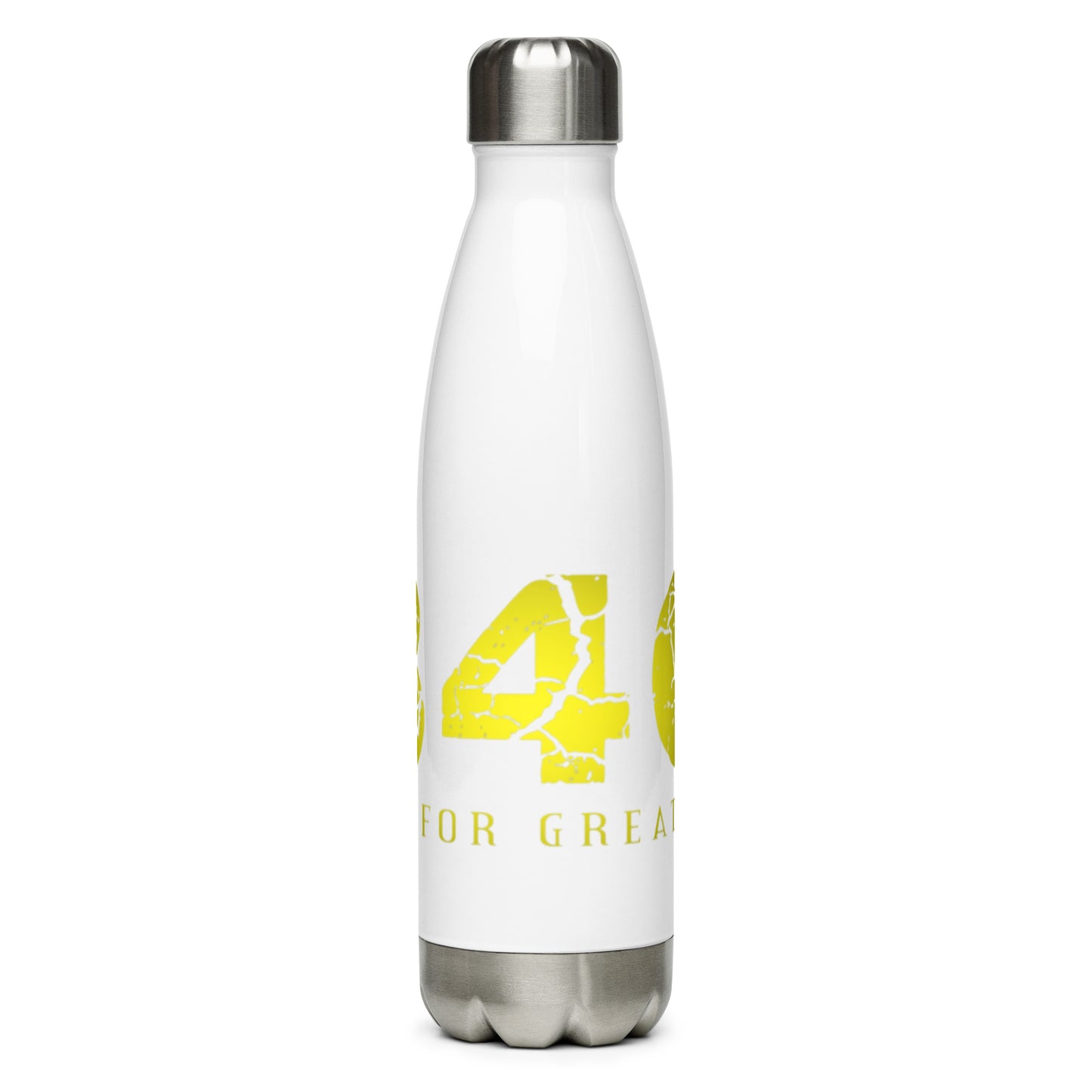 Stainless Steel Water Bottle