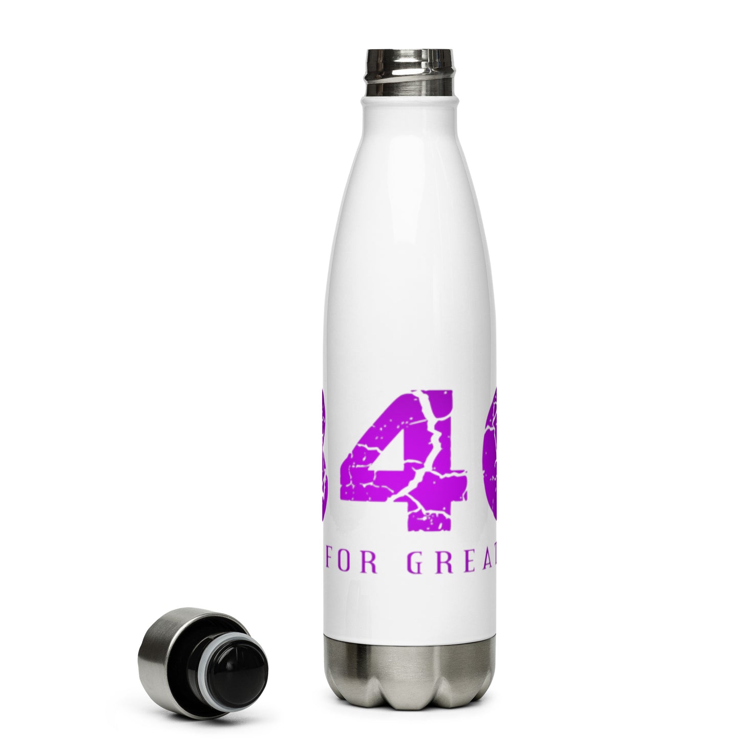 Stainless Steel Water Bottle