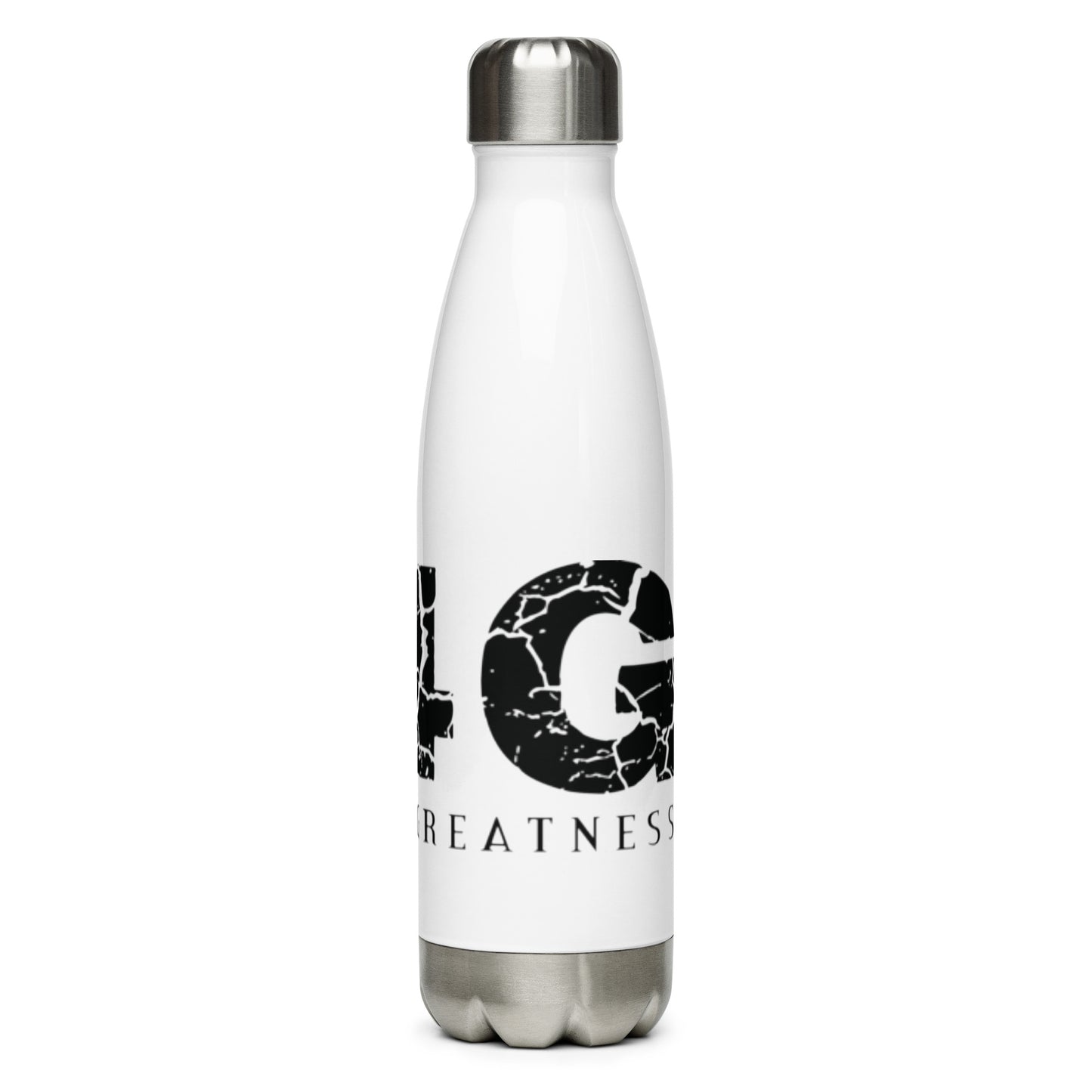 Stainless Steel Water Bottle