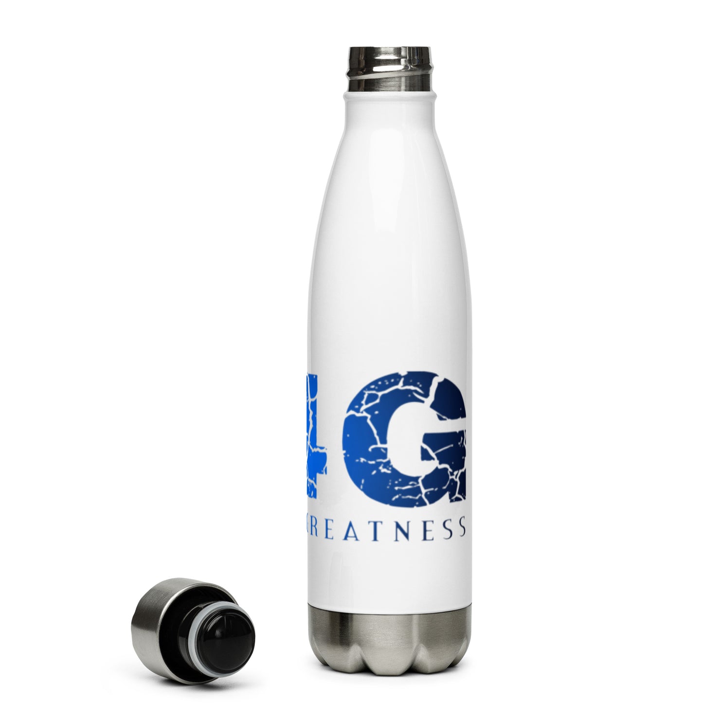 Stainless Steel Water Bottle