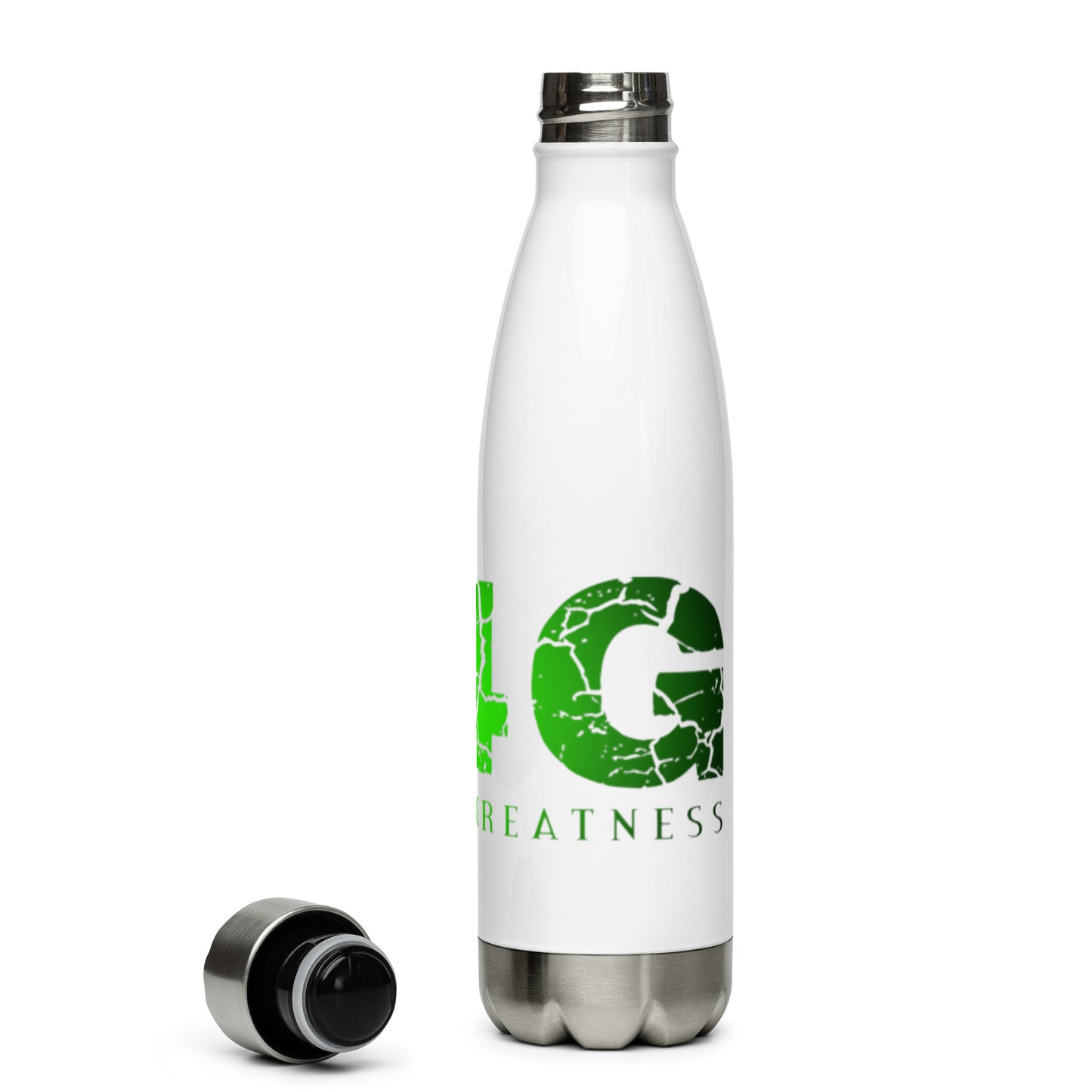 Stainless Steel Water Bottle