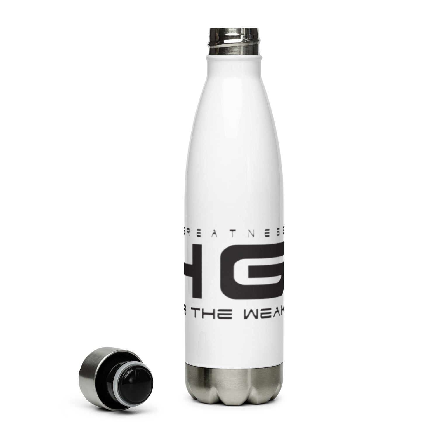 Stainless Steel Water Bottle