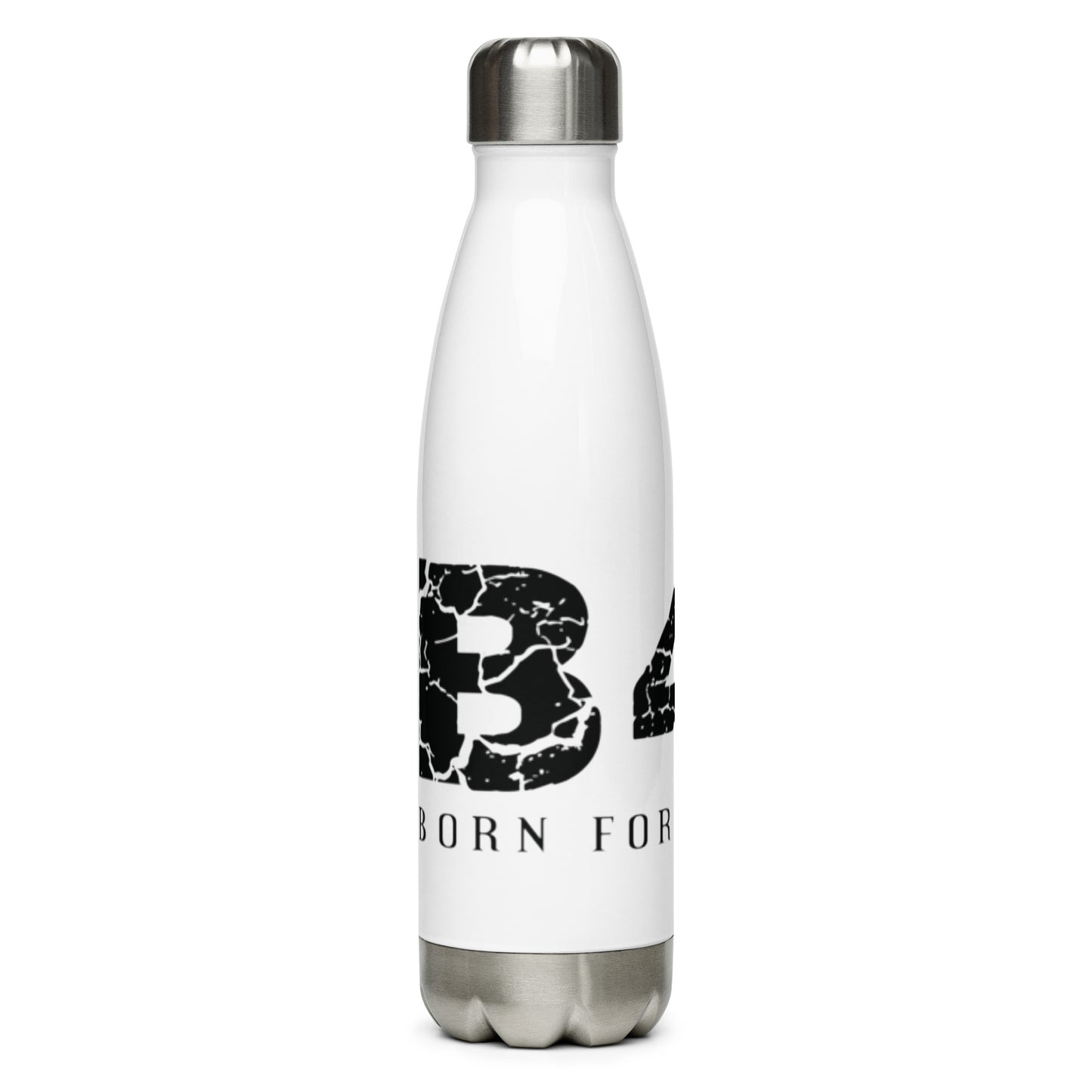Stainless Steel Water Bottle