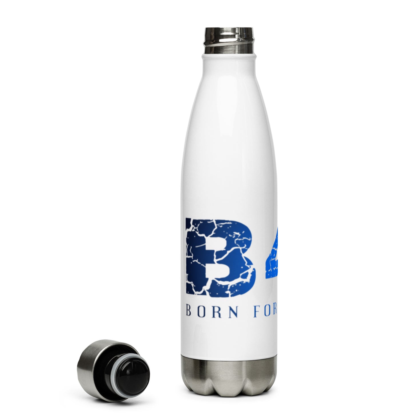 Stainless Steel Water Bottle
