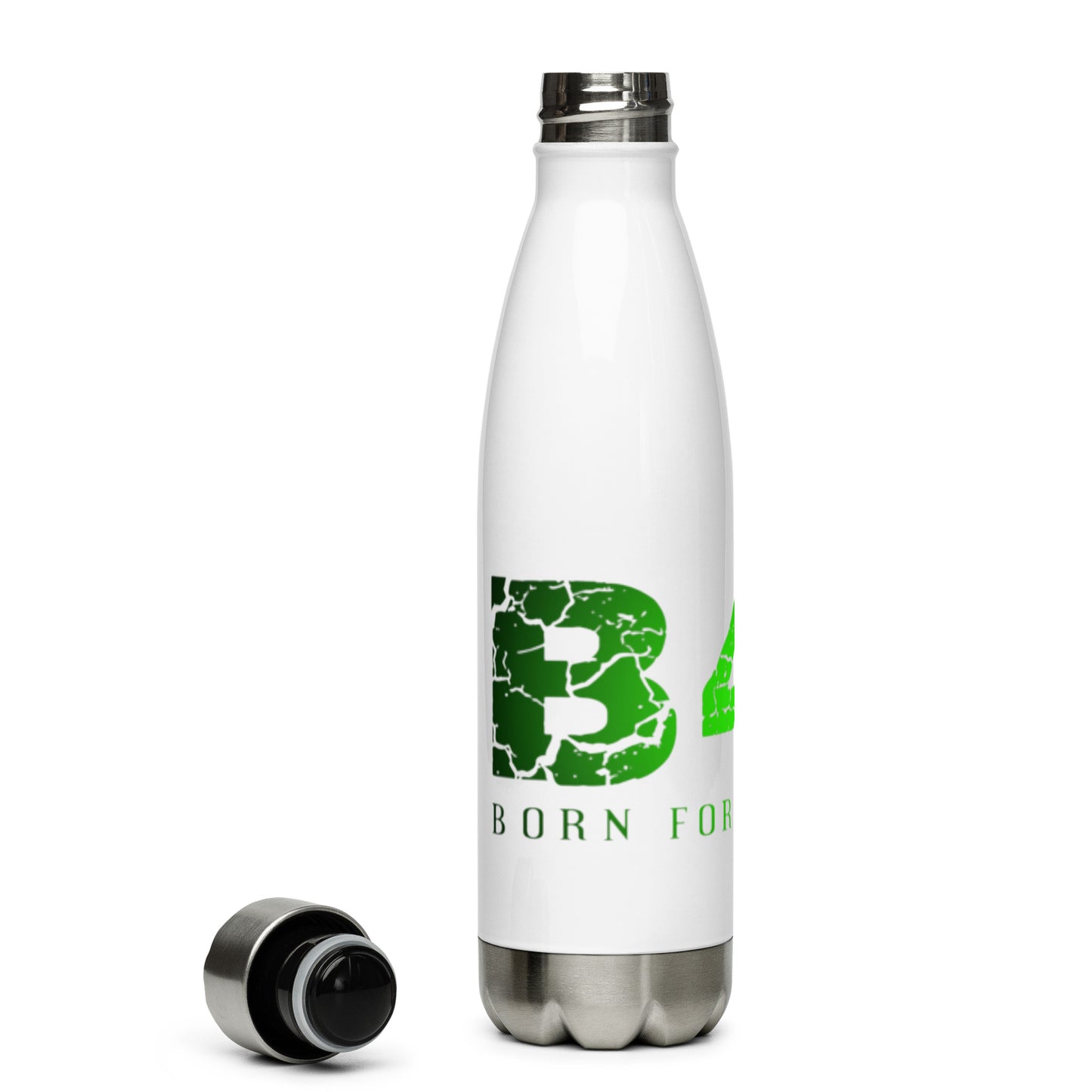Stainless Steel Water Bottle
