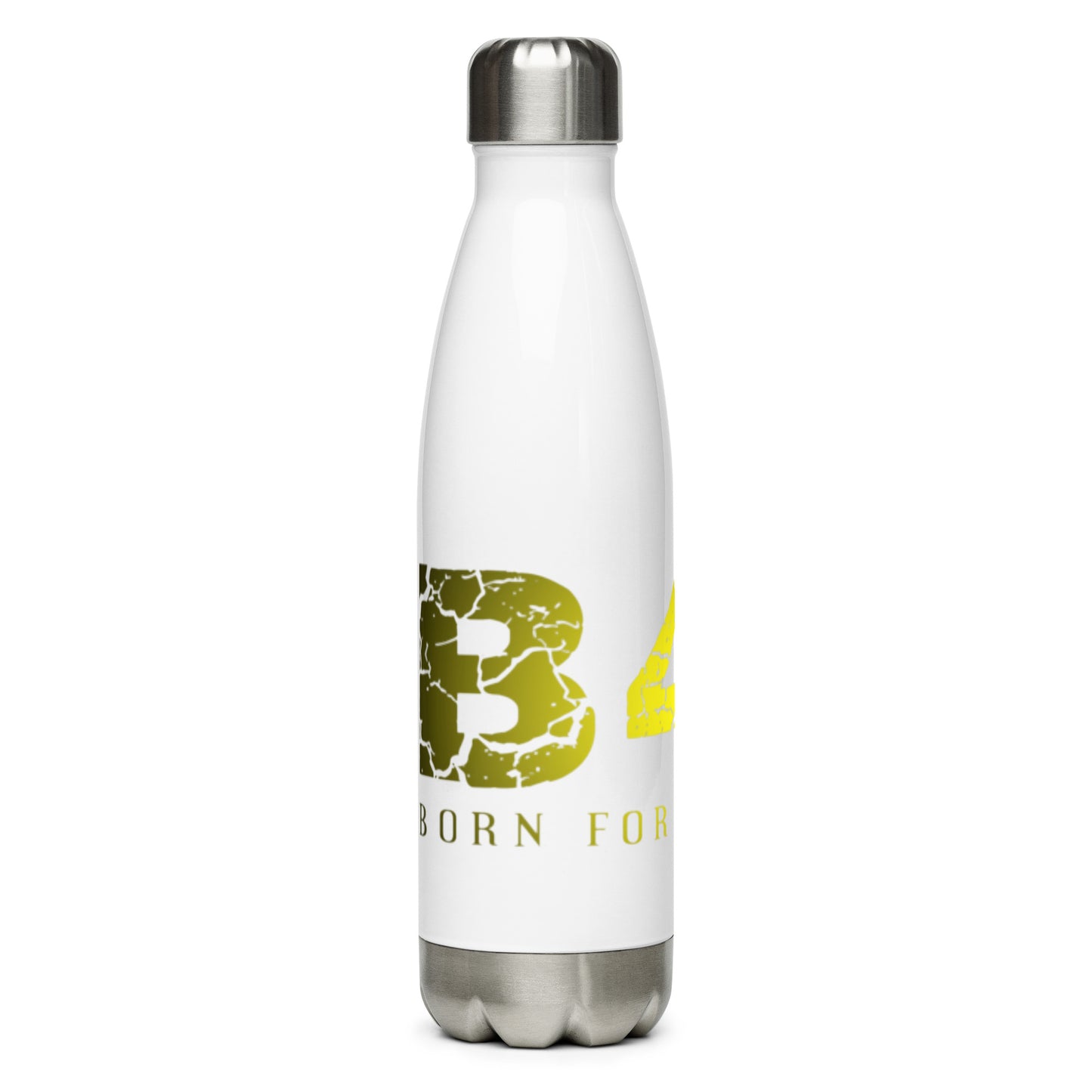 Stainless Steel Water Bottle
