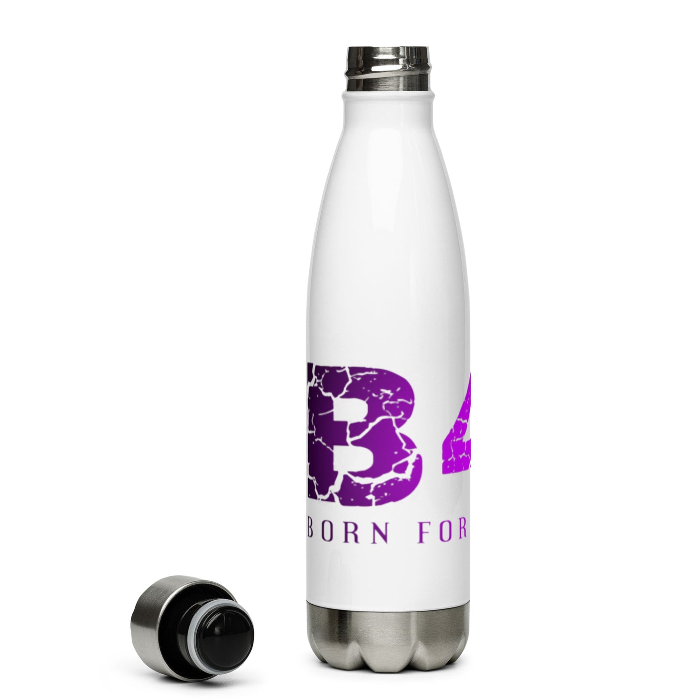 Stainless Steel Water Bottle