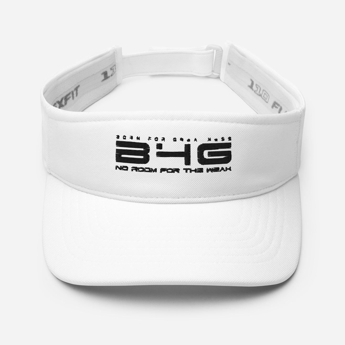 Visor