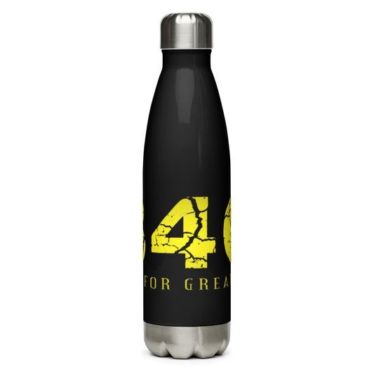 Stainless Steel Water Bottle