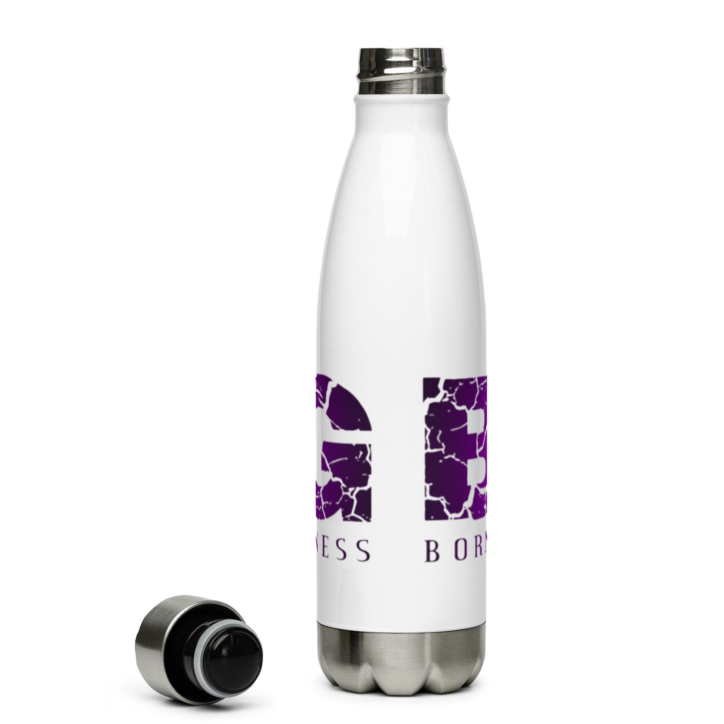 Stainless Steel Water Bottle